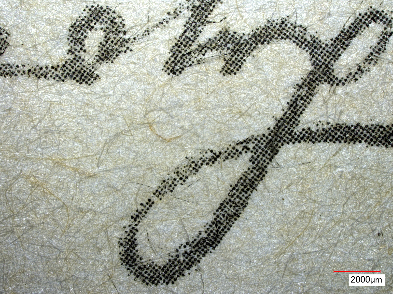 papier detail mikroskop