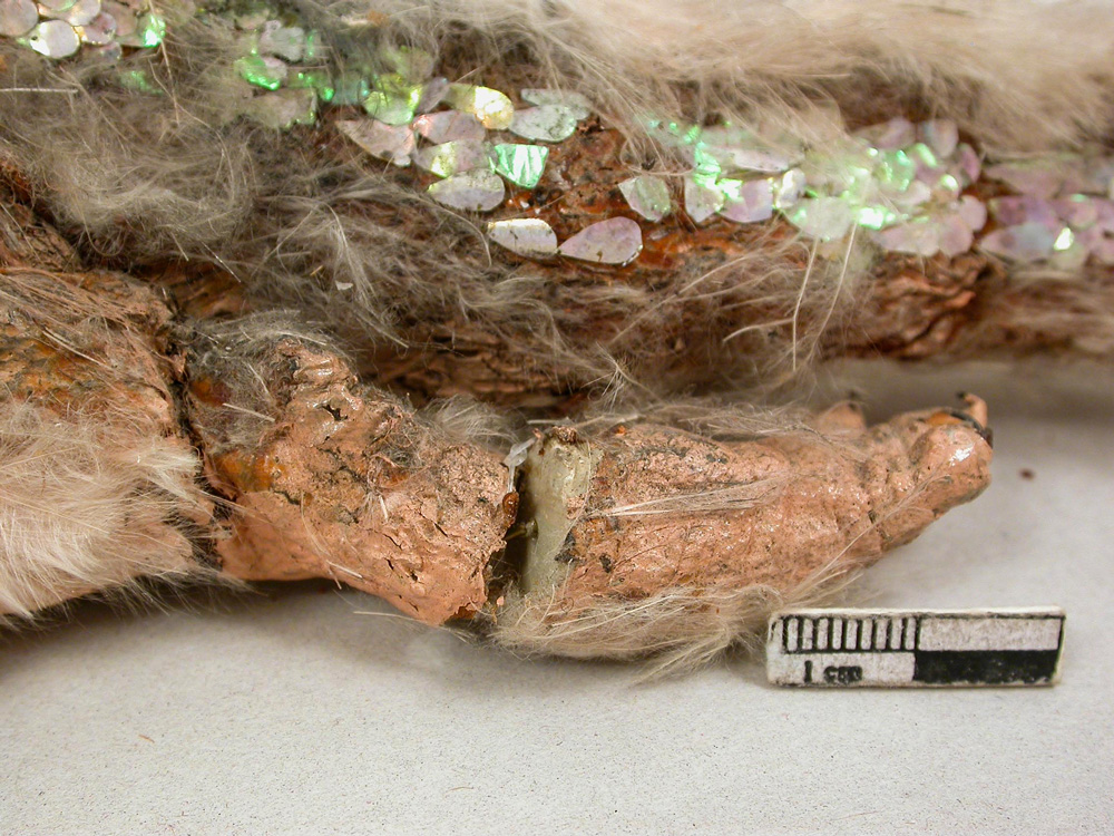 filmuseum detail
